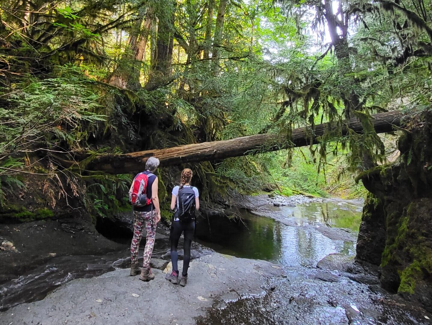 Build your own amazing Adventure Vacation around Victoria